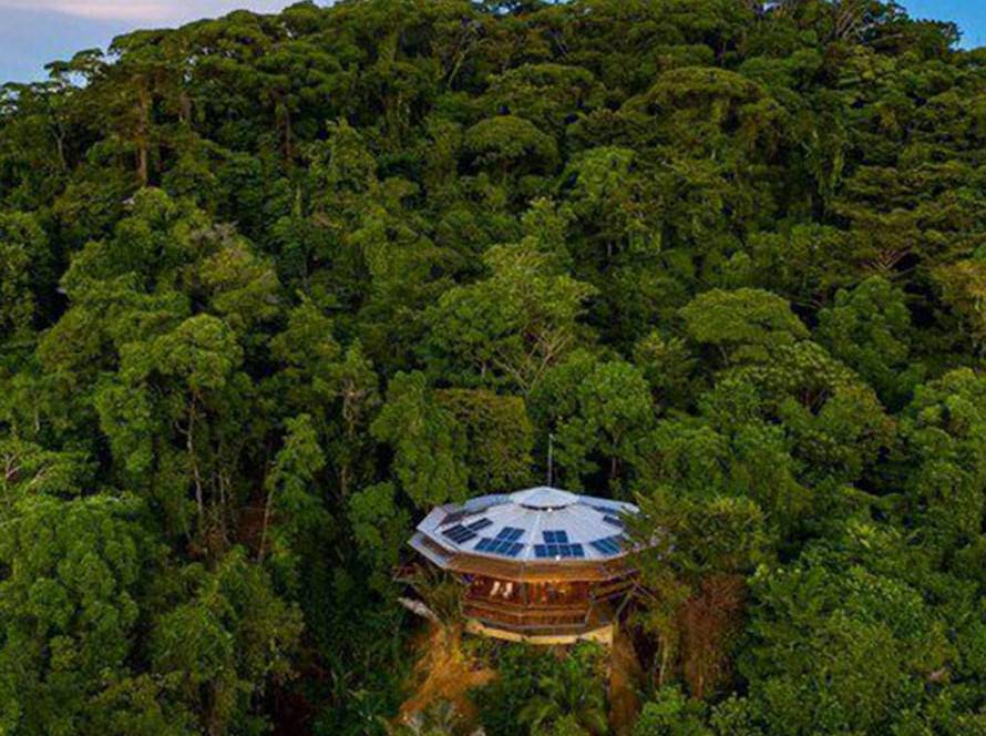 Sustainable resort in a forest